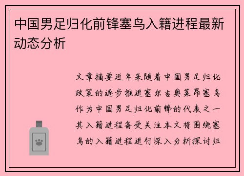 中国男足归化前锋塞鸟入籍进程最新动态分析