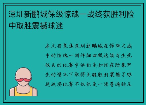 深圳新鹏城保级惊魂一战终获胜利险中取胜震撼球迷